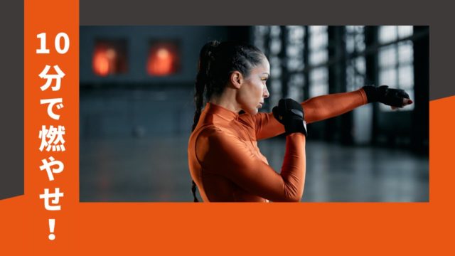 トレーナーの専門分野